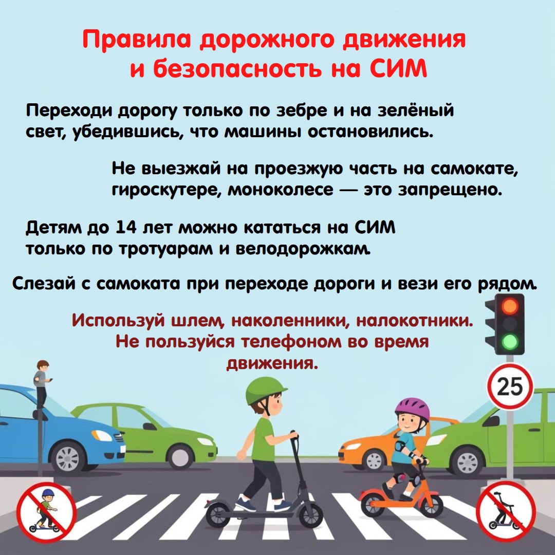 ПДД и безопасность на СИМ ПДД и безопасность на СИМ