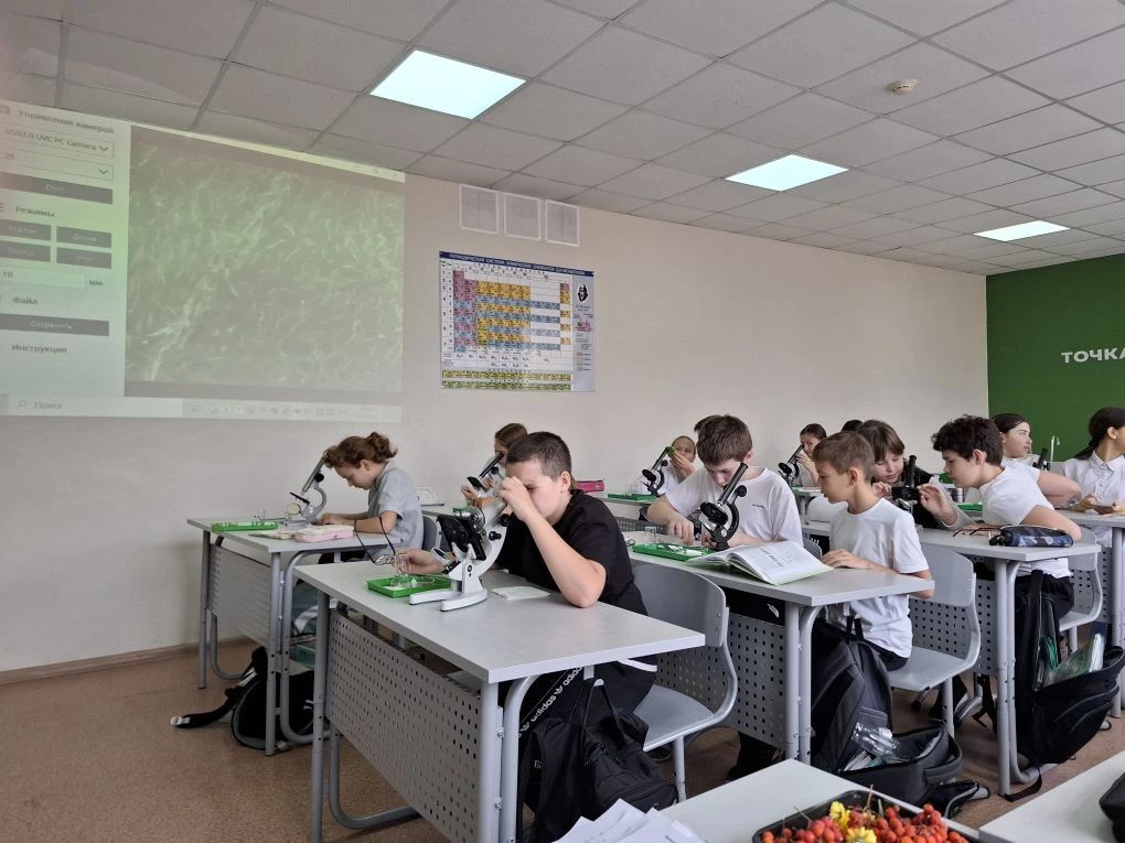 Космический микромир растений Космический микромир растений 1