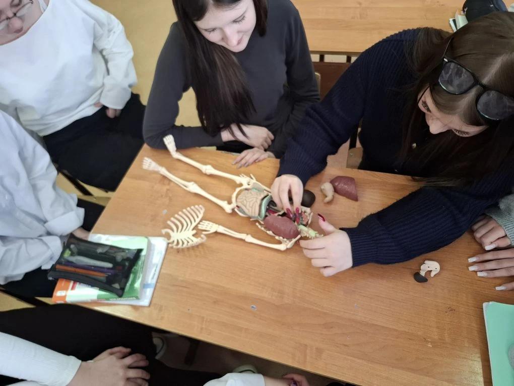 Организм человека крупным планом Организм человека крупным планом 2