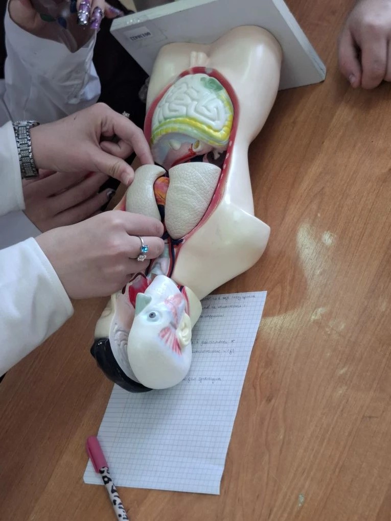 Организм человека крупным планом Организм человека крупным планом 3